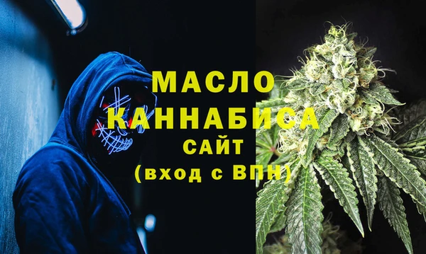 дмт Алексин