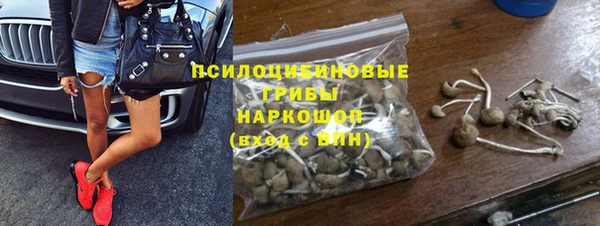 дмт Алексин