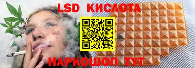 молекула духа Заволжье