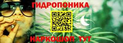 молекула духа Заволжье