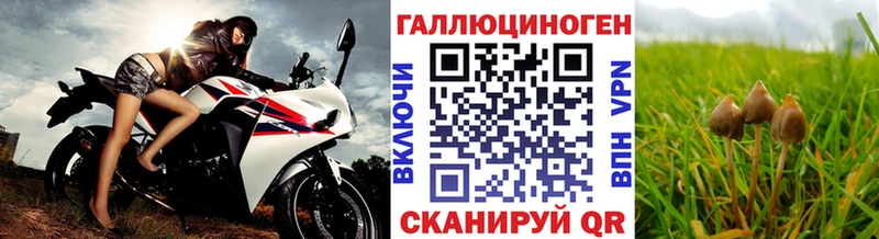 Галлюциногенные грибы MAGIC MUSHROOMS  купить наркоту  Железноводск 