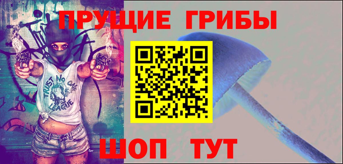 Псилоцибиновые грибы прущие грибы Железноводск