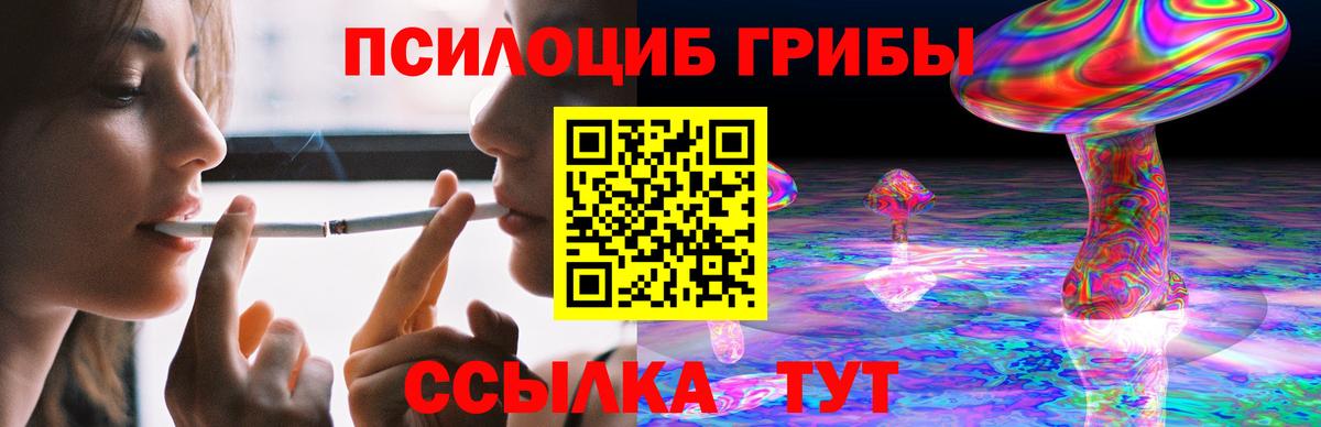 Галлюциногенные грибы прущие грибы  что такое наркотик  Железноводск  Вход с VPN  Галлюциногенные грибы прущие грибы 